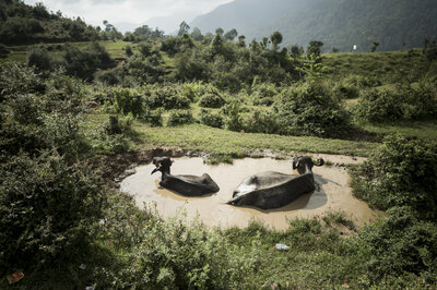 © Helvetas / Simon B. Opladen © Helvetas / Simon B. Opladen