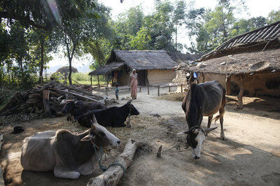 © Helvetas © Helvetas