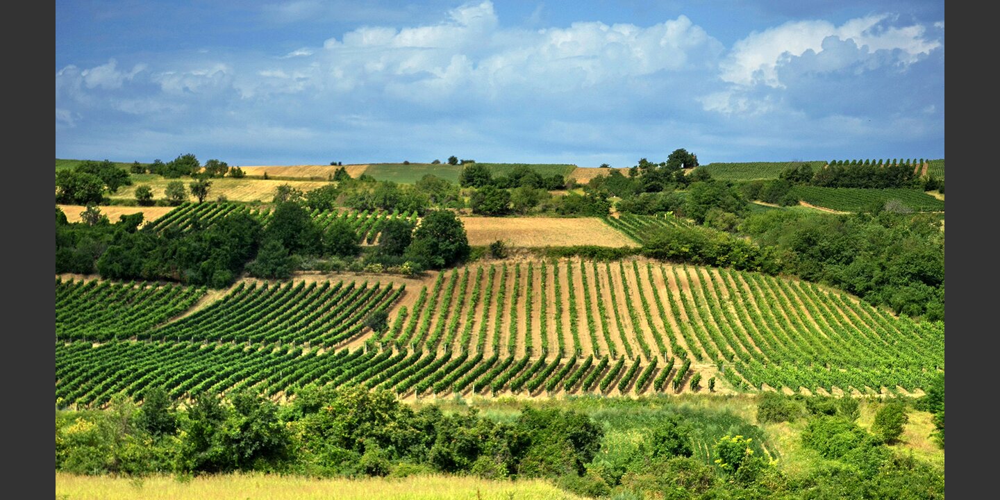 Serbia | Helvetas